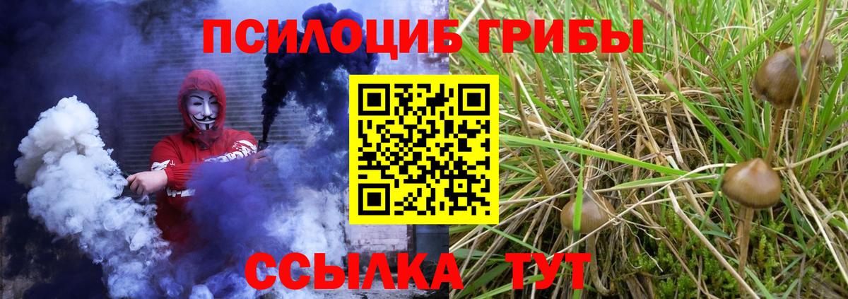 Долгопрудный  наркошоп  Вход с VPN  Галлюциногенные грибы прущие грибы  Псилоцибиновые грибы мухоморы 